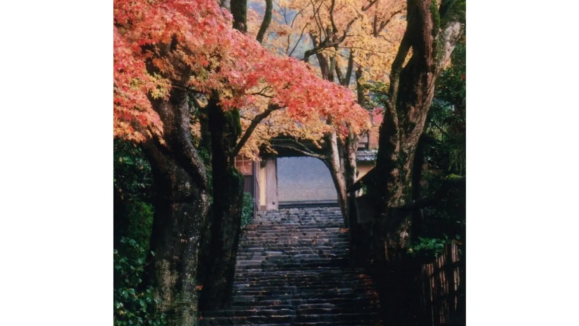 Ryoso Chatani - Vacation Stay 14773V Kyoto