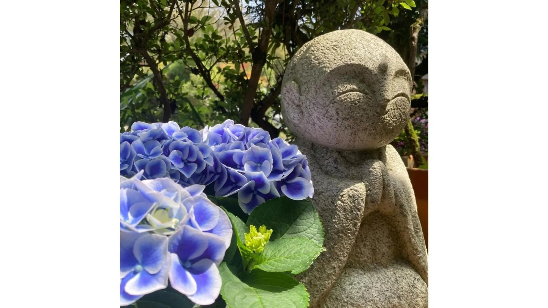 Ryoso Chatani - Vacation Stay 14773V Kyoto Hotel