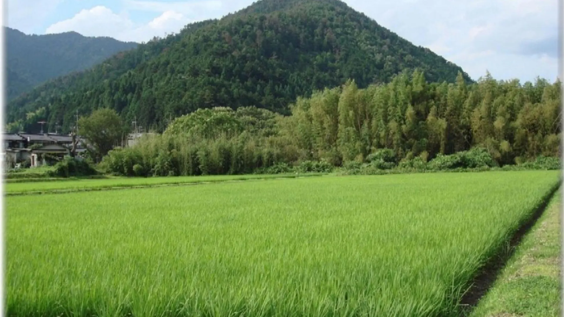 Hotel Ryoso Chatani - Vacation Stay 14773V Kyoto