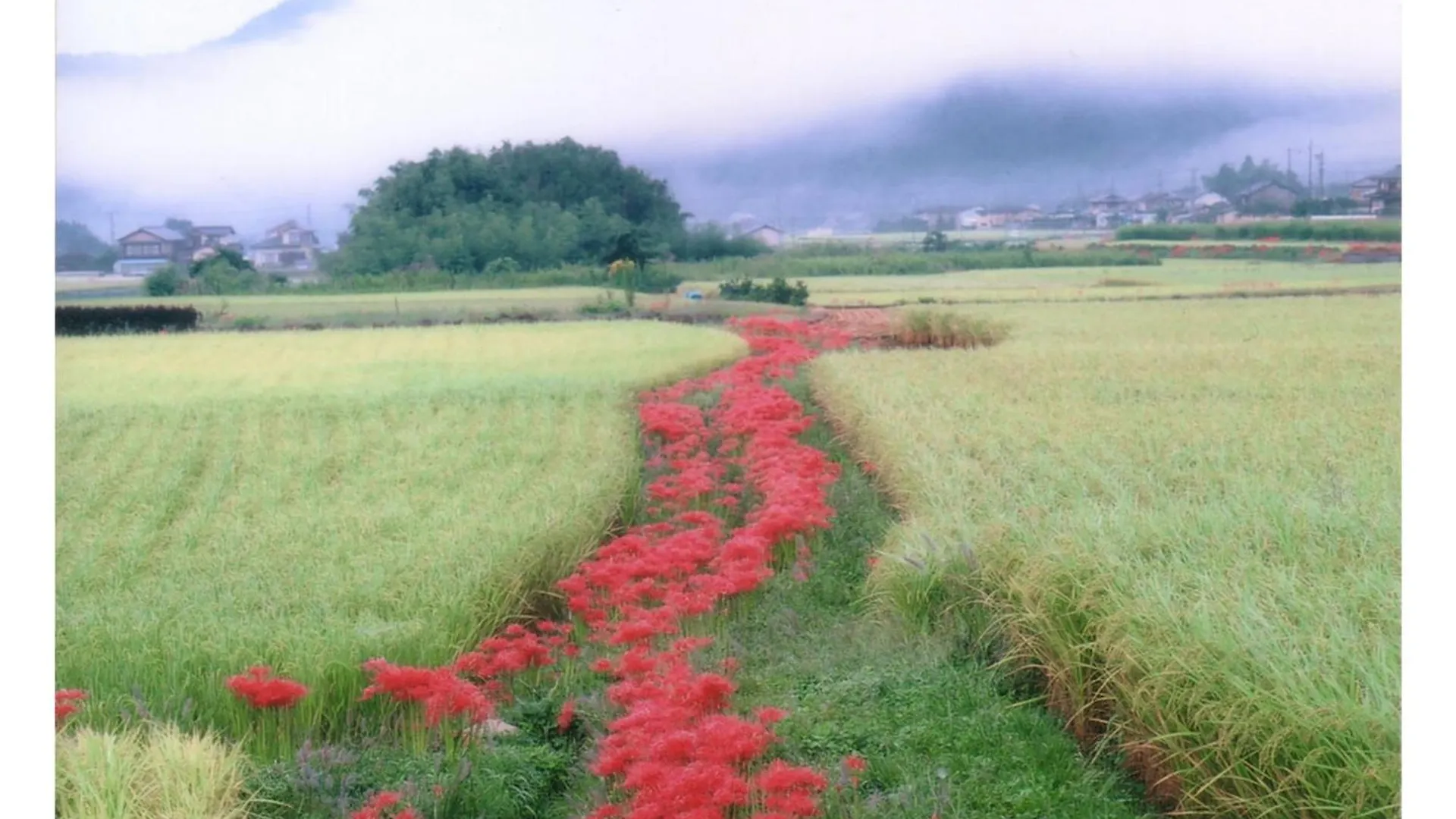 Ryoso Chatani - Vacation Stay 14773V Kyoto 0*,  Japan